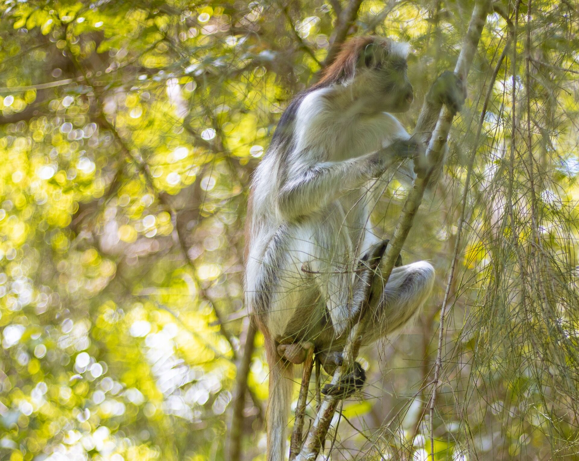 6 Days Zanzibar Adventure