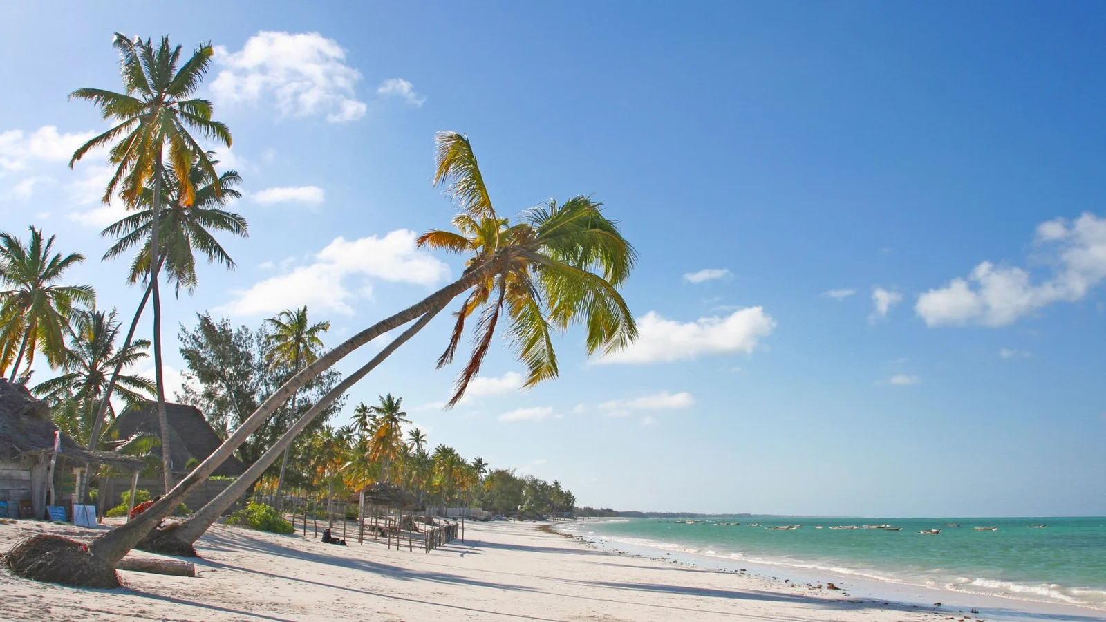 10 Days Zanzibar Complete Holiday